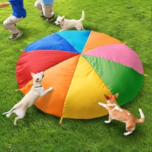 1PC Hand Thrown Parachute Is Used For Team Sports, Hand Thrown Rainbow Parachute, Outdoor Music Festival Roof Decoration, Throwing Sandbags And Rainbow Balls As Gifts For Family Gatherings. 10 Balls Will Be Randomly Shipped As Gift Colors. Thank You.