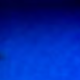 Azul-Fuste Negro