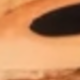 Teddy
