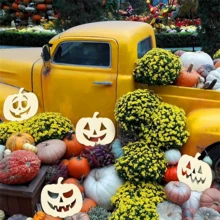 12pcs Halloween Pumpkin Face Decorations, Painted Blank Pumpkins, Pumpkin Paper Cutting Crafts With Strings, Halloween Pumpkins, Thanksgiving DIY Crafts