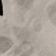 أبيض