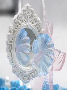 斗鱼运动镜，华丽优雅圆形斗鱼镜带浮球，训练镜玩具镜斗鱼镜斗鱼镜，适用于水族箱装饰鱼缸，有利于斗鱼改善体色，增强表现力，扩大尾鳍 - 彩色 - 查看 1