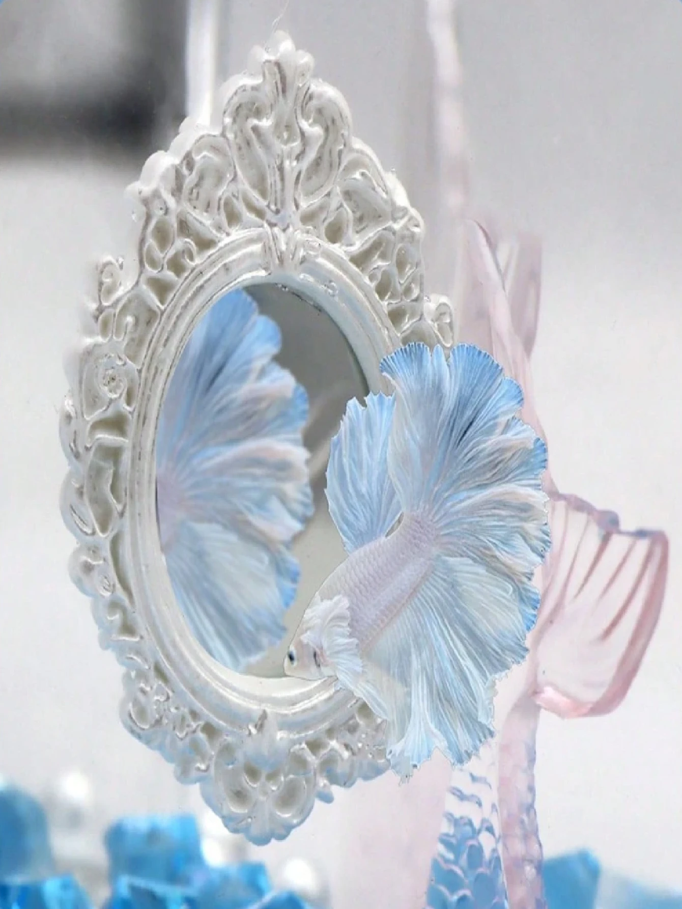 斗鱼运动镜，华丽优雅圆形斗鱼镜带浮球，训练镜玩具镜斗鱼镜斗鱼镜，适用于水族箱装饰鱼缸，有利于斗鱼改善体色，增强表现力，扩大尾鳍 - 彩色 - 查看 1