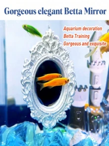 斗鱼运动镜，华丽优雅圆形斗鱼镜带浮球，训练镜玩具镜斗鱼镜斗鱼镜，适用于水族箱装饰鱼缸，有利于斗鱼改善体色，增强表现力，扩大尾鳍 - 彩色 - 查看 2