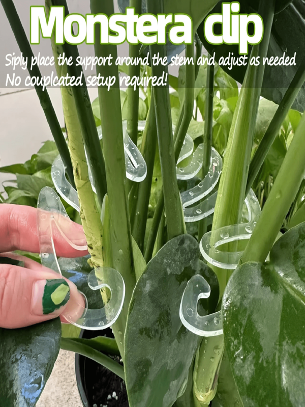 1 pieza/2 piezas Clip de soporte para plantas de plástico, gancho de agarre para planta Monstera, plástico duradero, ideal como accesorio de jardinería interior, promueve el crecimiento vertical