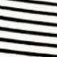 Blanco y Negro