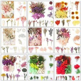 压花、天然干花、干花、手工干花、艺术小干花套装DIY、树脂、剪贴簿、手工艺品、名片印刷、手工艺品、万圣节、圣诞节|干花束勿忘我带茎天然干花紫粉色和白色永生干花花束用于插花婚礼派对DIY树脂花瓶家居装饰万圣节感恩节圣诞节