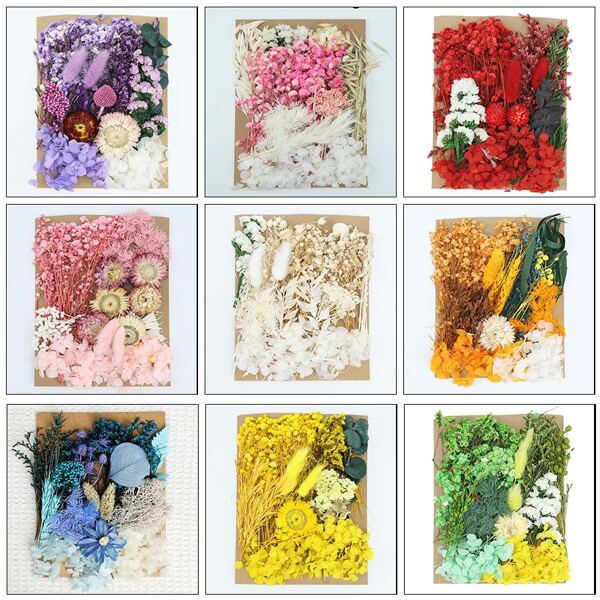Flores secas, flores secas, flores secas para manualidades, mini flores secas, set de flores secas para accesorios de resina epoxi DIY, scrapbook, decoración del hogar hecha a mano, boda, Navidad, Halloween, decoraciones navideñas, regalos navideños, flores artificiales, jarrones para flores (flores blancas)