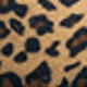 Leopardo Negro