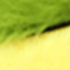 Nhiều màu