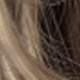 Brown Ombre