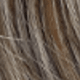 Blonde Highlight