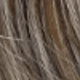 Blonde Highlight
