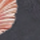 Nhiều màu