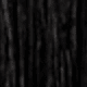 S1