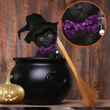 1pc Pet Cat Collar With Halloween Pumpkin & Bat Hat, For Cat Halloween Costume