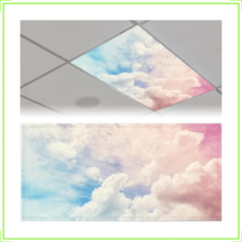 Fluorescent Light Filters For School Home Office Drop Ceiling Lamp Decor Light Filters 4x2Feet(Morning Glow), Fluorescent Light Covers For Classroom Ceiling Lights Magnetic Light Covers - 11 - View 1