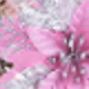 聖誕花頭10