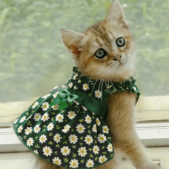 1pc Pet Dress Romantic Style Dog Summer Dress Cat Skirt With Green Floral Print, Small Dog Clothes Pet Clothing Chihuahua Skirt Puppy Cat Princess Apparel Cute Puppy Clothes Pet Product Kitten Dog Dress Pet Apparel Bichon Yorkie Costume Pet Clothing Cute Dog Cooling Vest Suitable For Small-Medium Cats And Dogs