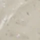 Estrella de mar de concha