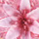 聖誕花頭11