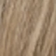 Brown Highlight