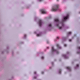 Purple Background Pink Flowers