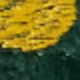 màu xanh lá