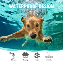 2 Packs Glow-In-The-Dark Dog Collars – Reflective, Adjustable & Lightweight | Night Safety & All-Season Comfort For Small & Medium Dogs