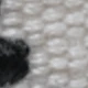 Blanco y Negro