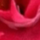 ÔNG