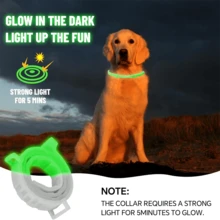 2 Packs Glow-In-The-Dark Dog Collars – Reflective, Adjustable & Lightweight | Night Safety & All-Season Comfort For Small & Medium Dogs