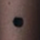 Negro