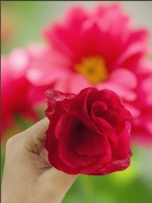 Künstliche Haarblumen, Hochzeitsdekoration, künstliche Blumenornamente, Armblüten, Corsagen, Strohhut Accessoires
