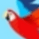 Safari 1