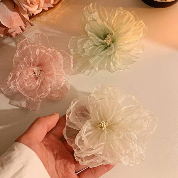 2pcs Women White Mesh Flower Hair Clips, Decorative Side Bangs Clips, Sweet Hair Accessories Suitable For Daily Wear, Claw Clips, Hair Claws, Hair Slide, Hair Barrettes