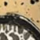 多色2