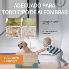 Seokiwi Aspiradora Lava Alfombra Tapicería De Inyección Succión 6in1 - Tipo de Enchufe A USA (110-127V) - Ver 10