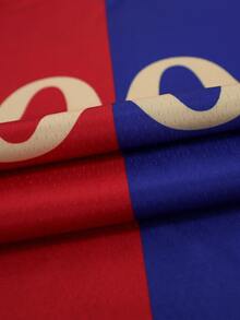 定制球衣，巴塞罗那，透气快干 210G 春夏男女款短袖 T 恤，球队/俱乐部训练 V 领足球运动上衣，正面和背面印有姓名号码标志，舒适贴合日常、休闲、派对 - 彩色 - 查看 5