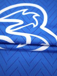 2025 夏秋季定制您自己的球衣，透气速干 210g 春夏男女通用运动队俱乐部训练 V 领足球衫，前后印有姓名、号码、标志，舒适贴合日常、休闲、派对