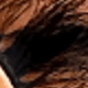Fluffy Lashes