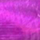 Rosa Fucsia