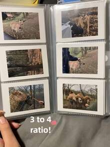 1个300张/240张/84张便捷透明磨砂相册，大容量收藏相册，适用于3寸照片、偶像卡、名片、身份证、邮票、门票、照片、卡片等物品 - 透明相簿 - 查看 10