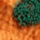 Orange and Green