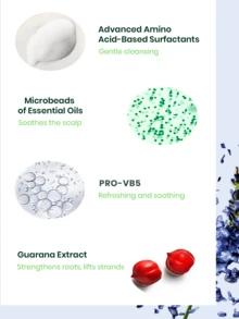 René Furterer [Kích thước nhỏ] Dầu gội dưỡng tóc Forticea 50ml, phù hợp cho tóc thường đến tóc dầu, tóc yếu, giúp tóc chắc khỏe, kiểm soát dầu lâu dài | Tăng cường sức khỏe cho tóc, phục hồi da đầu | Tăng độ bồng bềnh, chứa tinh dầu hương thảo và niacinamide, công thức dịu nhẹ, thích hợp sử dụng hàng ngày (1.69 fl oz/50ml) - màu xanh lá - Xem 6