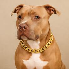 Pet Necklace For Dogs And Cats – 18K Gold Mini Cuban Link Chain Jewelry Adjustable Collar