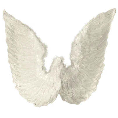 Asa Anjo Querubim Cupido Fantasia Luxo Tam. 50x58cm