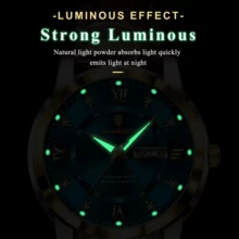 正品 POEDAGAR 手表（原装）顶级奢华男士手表 50 防水日期星期防水夜光皮革男士手表休闲男士手表运动男士石英表日本进口石英机芯返校必备礼物父亲兄弟