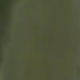 軍綠色