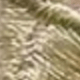 Multicolor